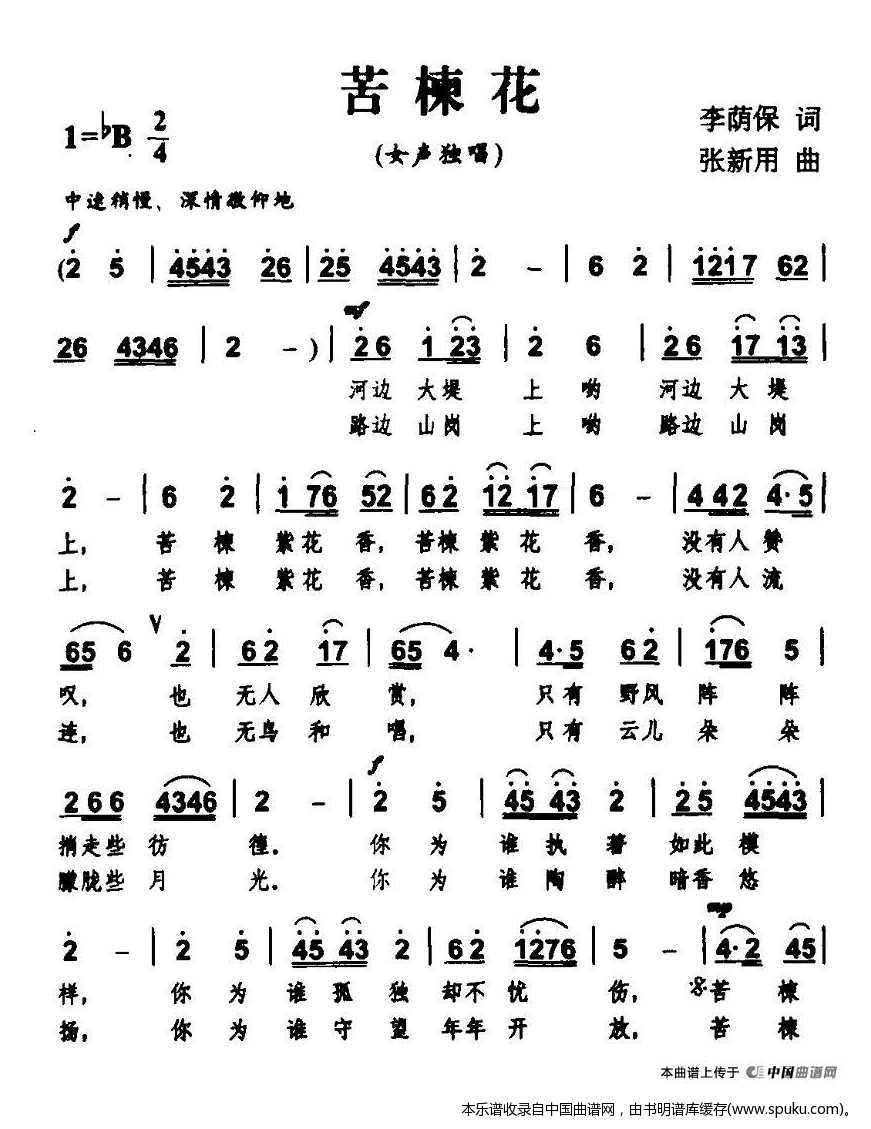 苦楝花