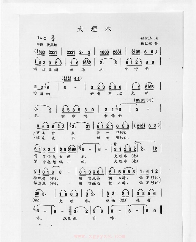 大理水
