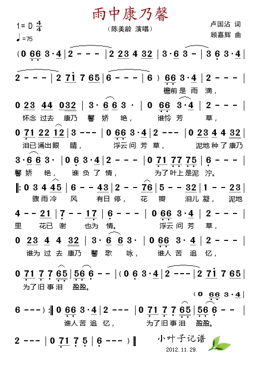 雨中康乃馨