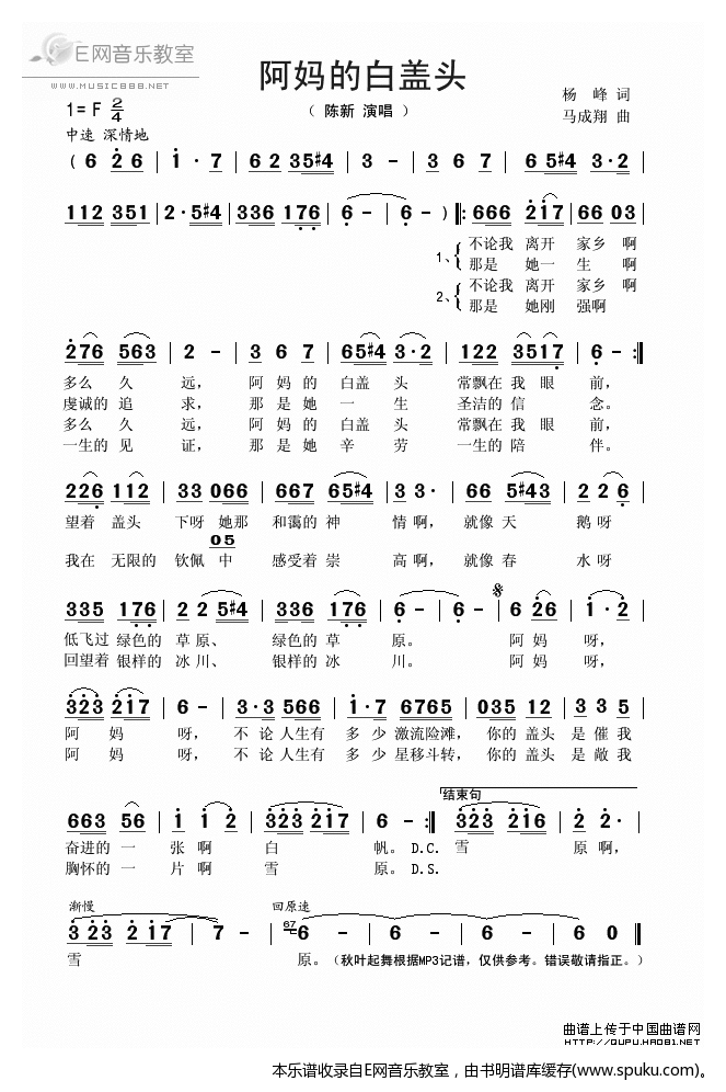 阿妈的白盖头-陈新