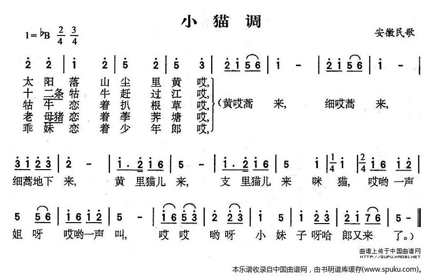 小猫调