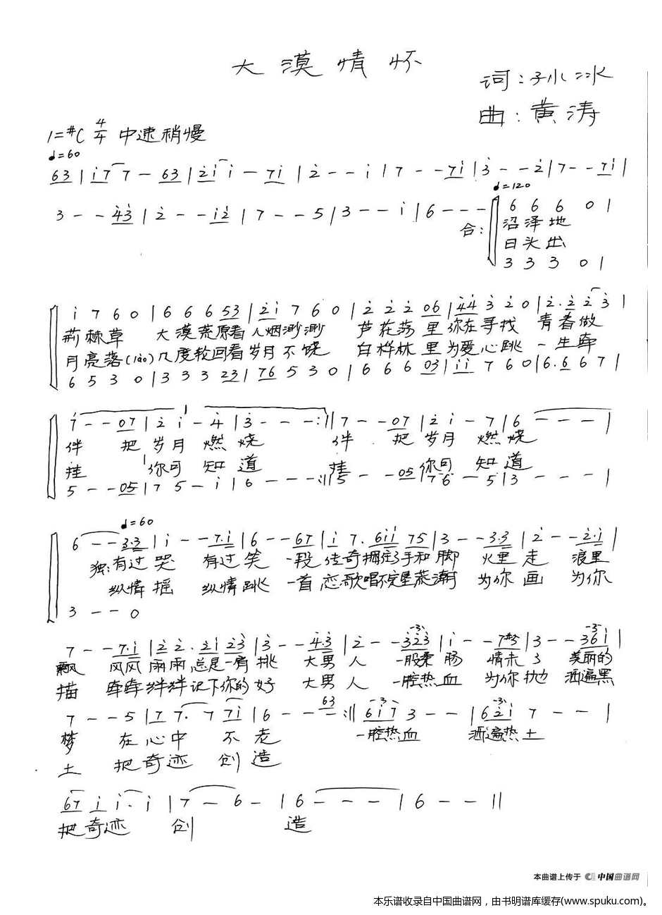 大漠情怀