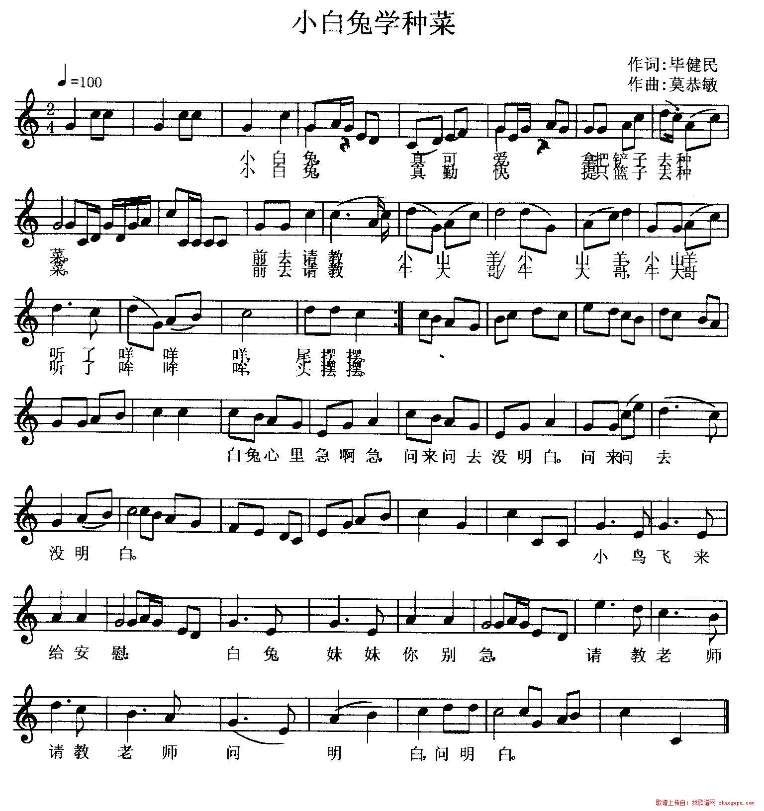 小白兔学种菜