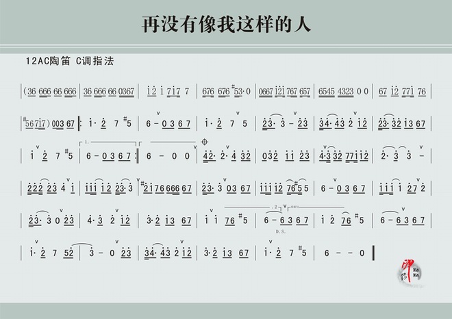 再没有像我这样的人