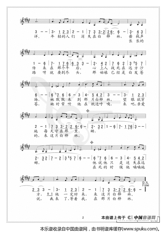 白桦林（朴树词曲）