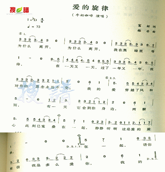 爱的旋律
