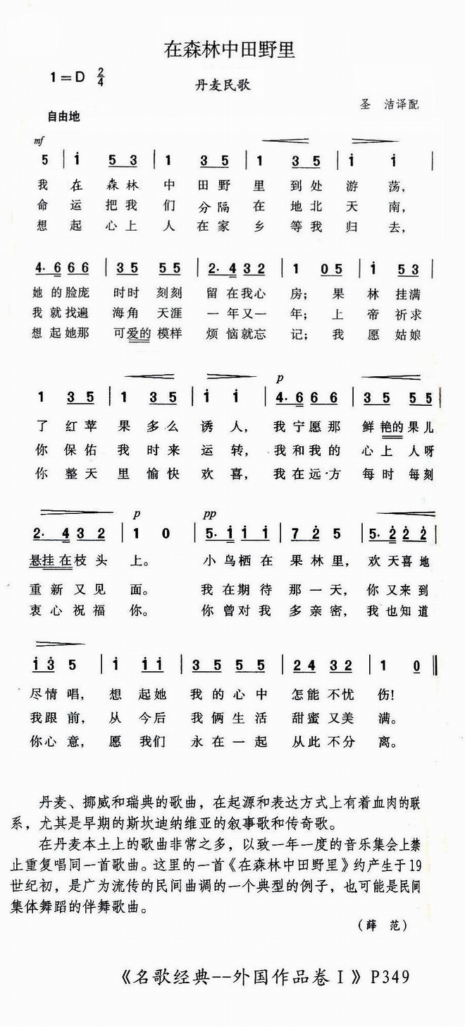 在森林中田野里