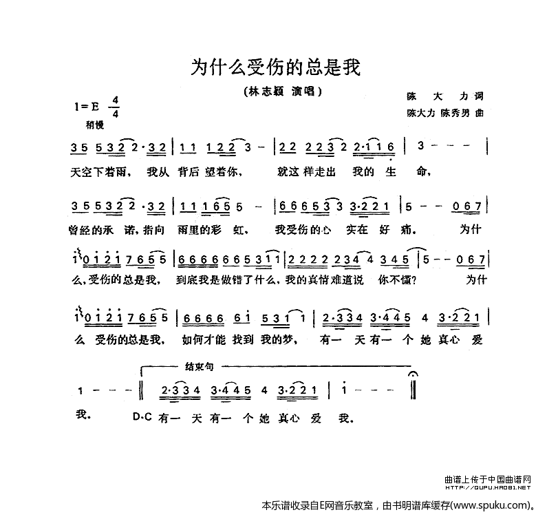 为什么受伤的总是我-林志颖