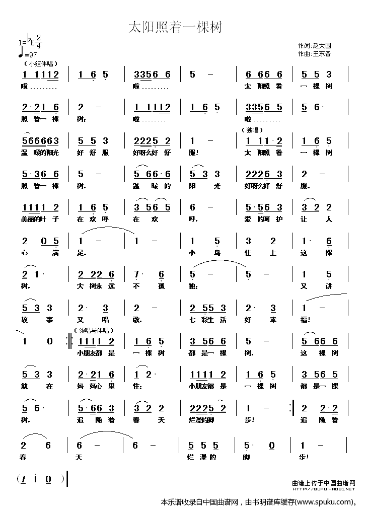 太阳照着一棵树