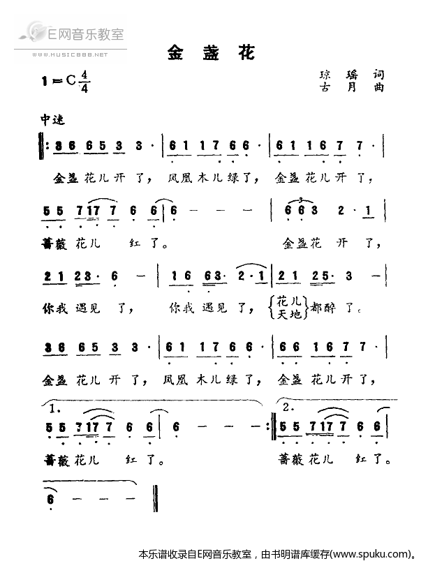 金盏花-凤飞飞