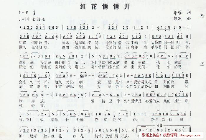 红花悄悄开