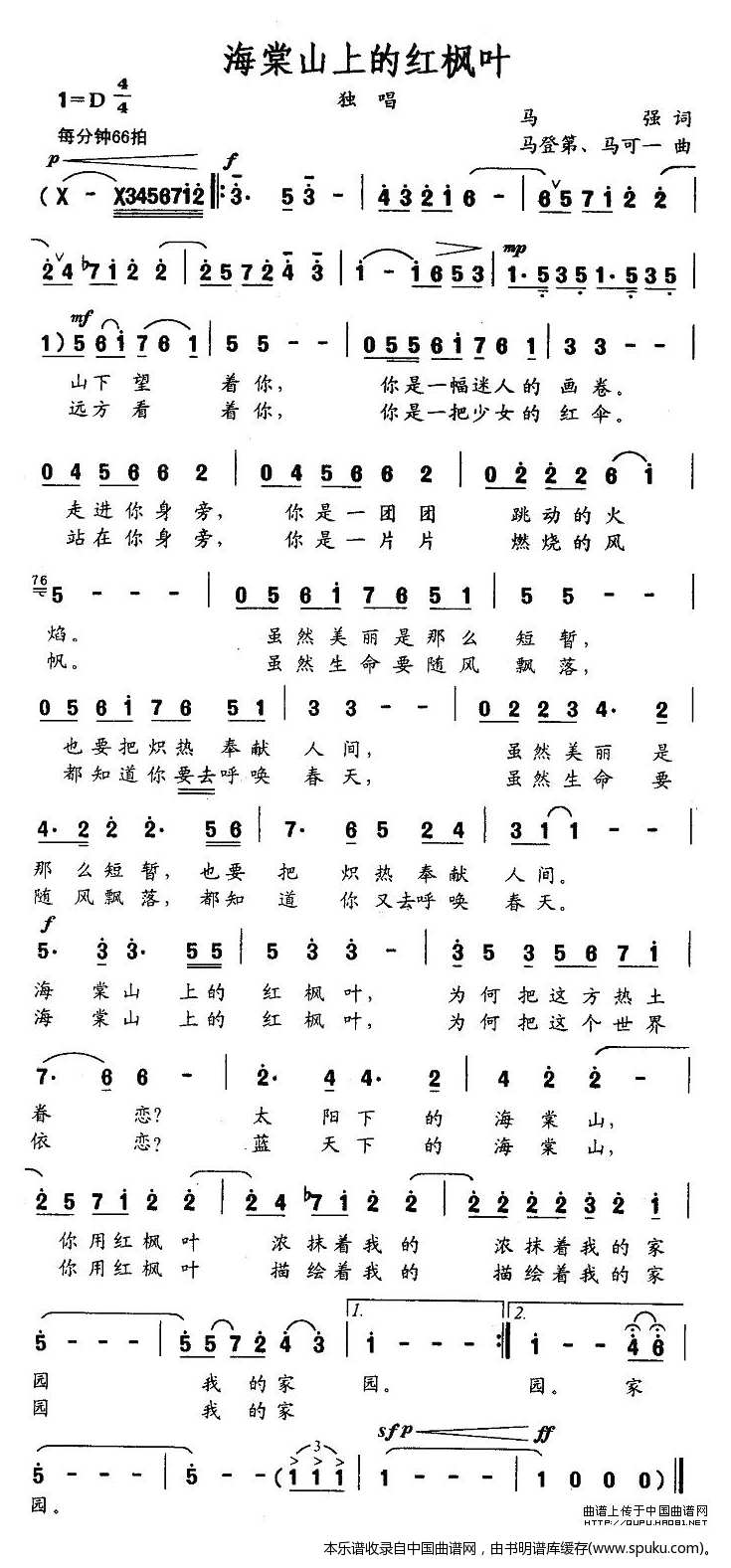 海棠山上的红枫叶