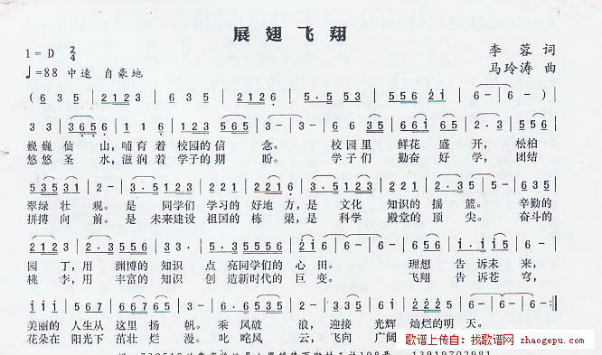 展翅飞翔