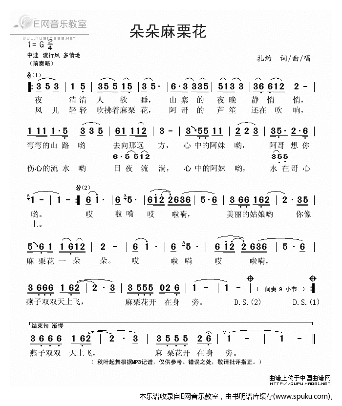 朵朵麻栗花-扎约