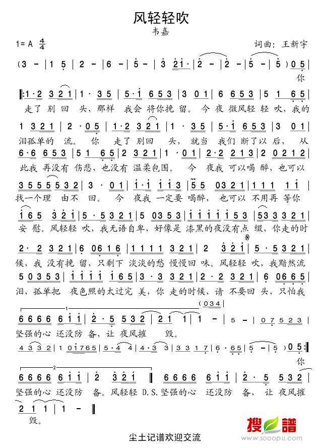 风轻轻吹