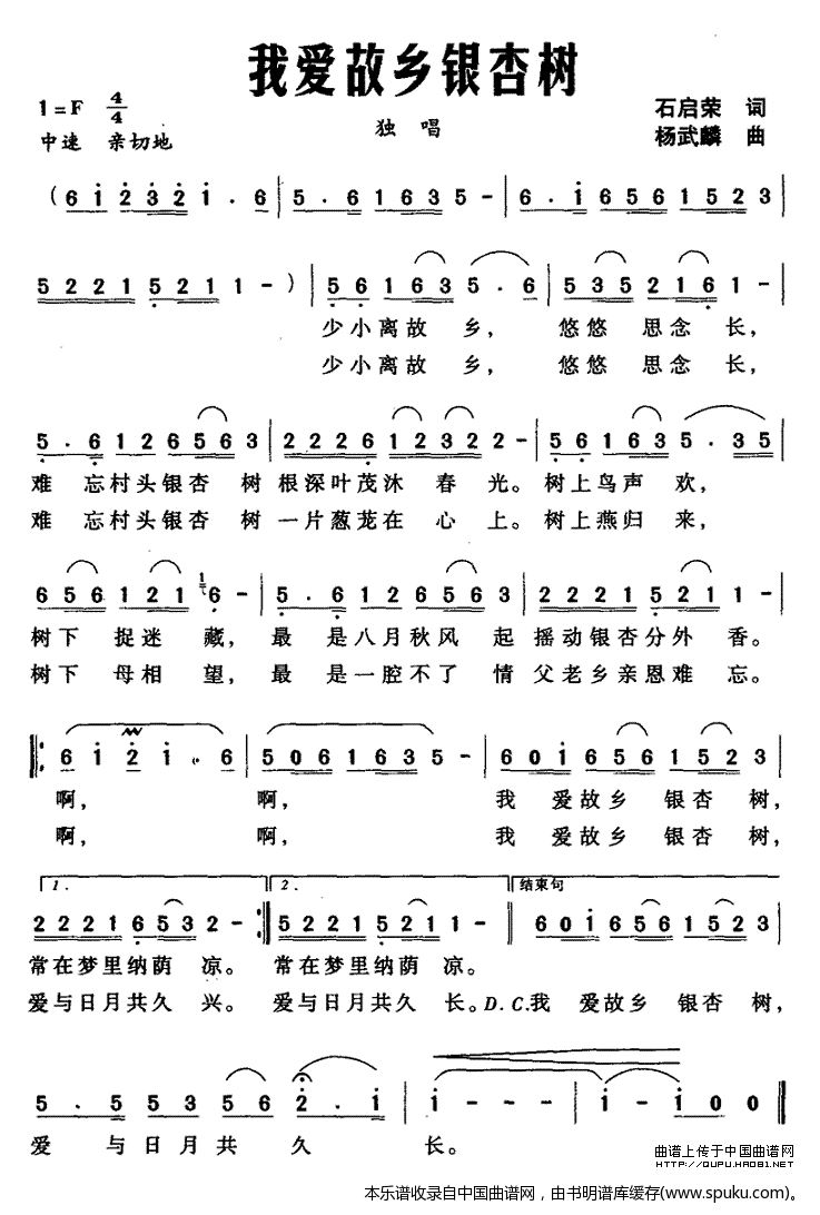 我爱故乡银杏树