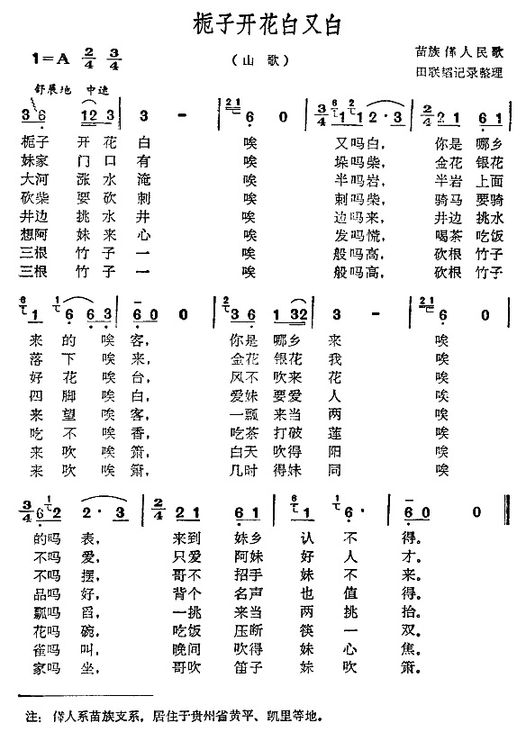 栀子开花白又白