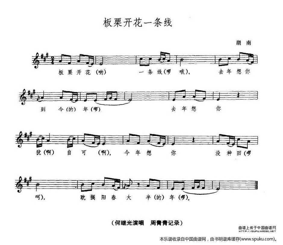 板栗开花一条线