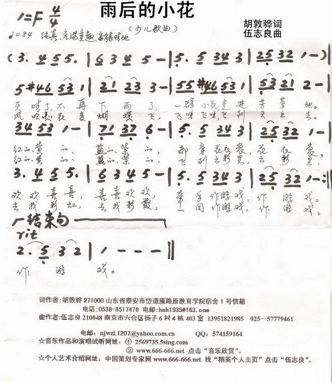 雨后的小花