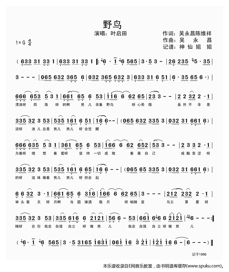 野鸟-叶启田