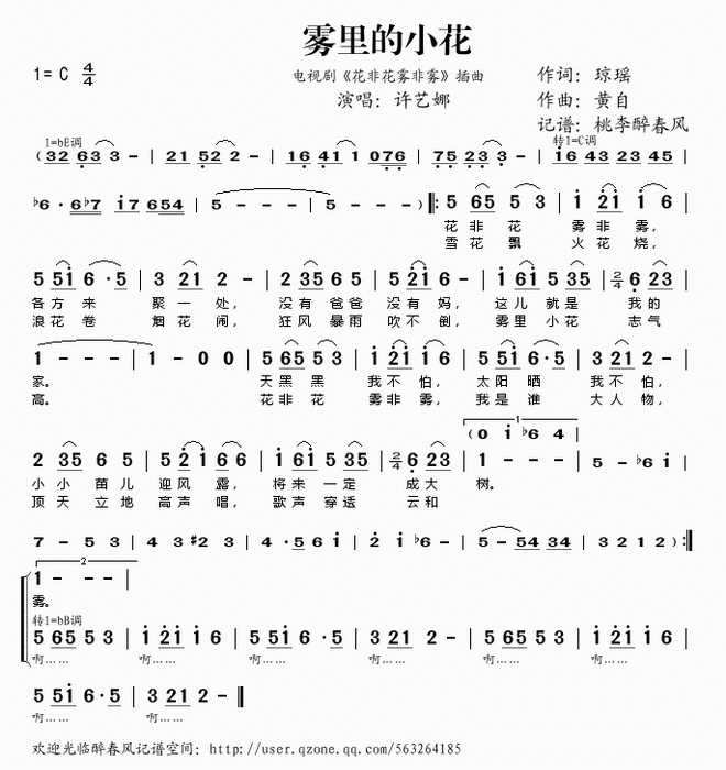雾里的小花
