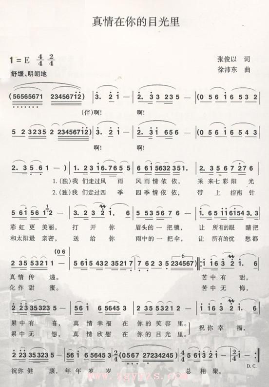 真情在你的目光里