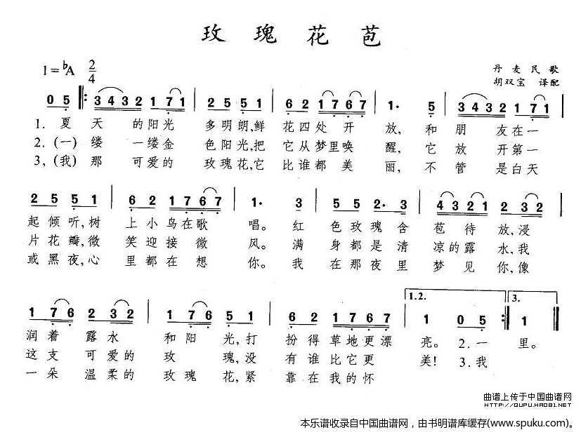 玫瑰花苞（丹麦）