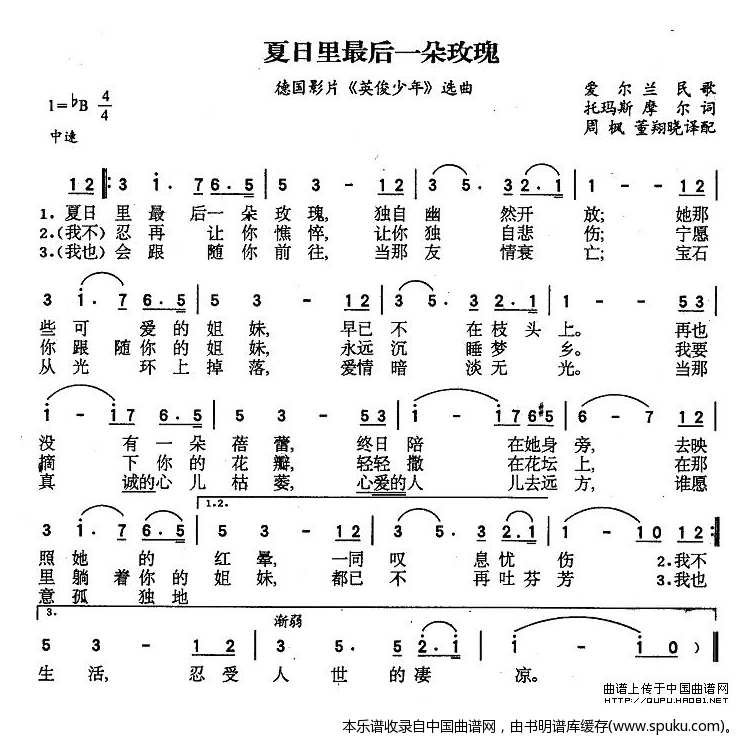 夏日里最后一朵玫瑰（爱尔兰）