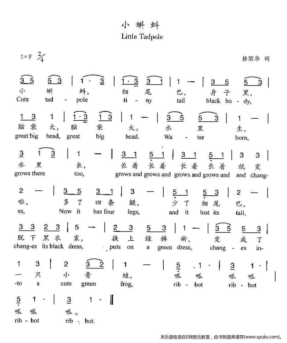 小蝌蚪-少儿歌曲