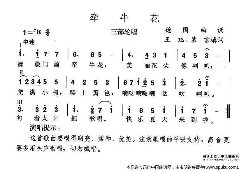 牵牛花（王珏填词版）