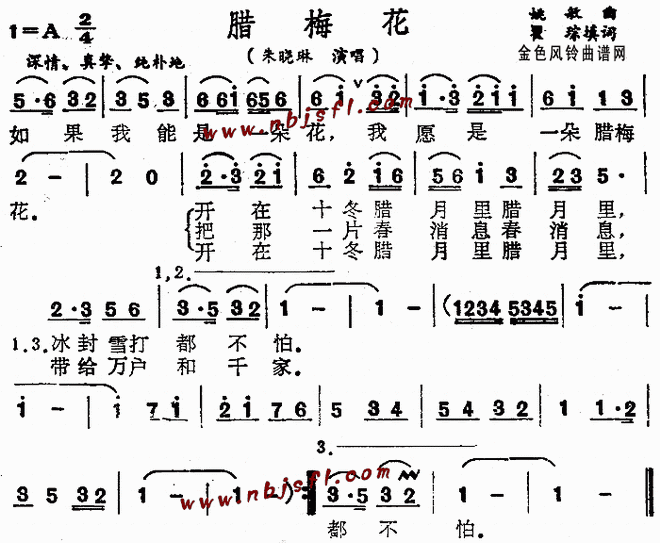 腊梅花