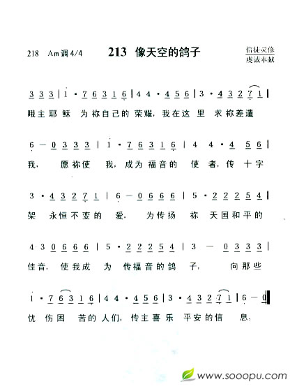 像天空的鸽子