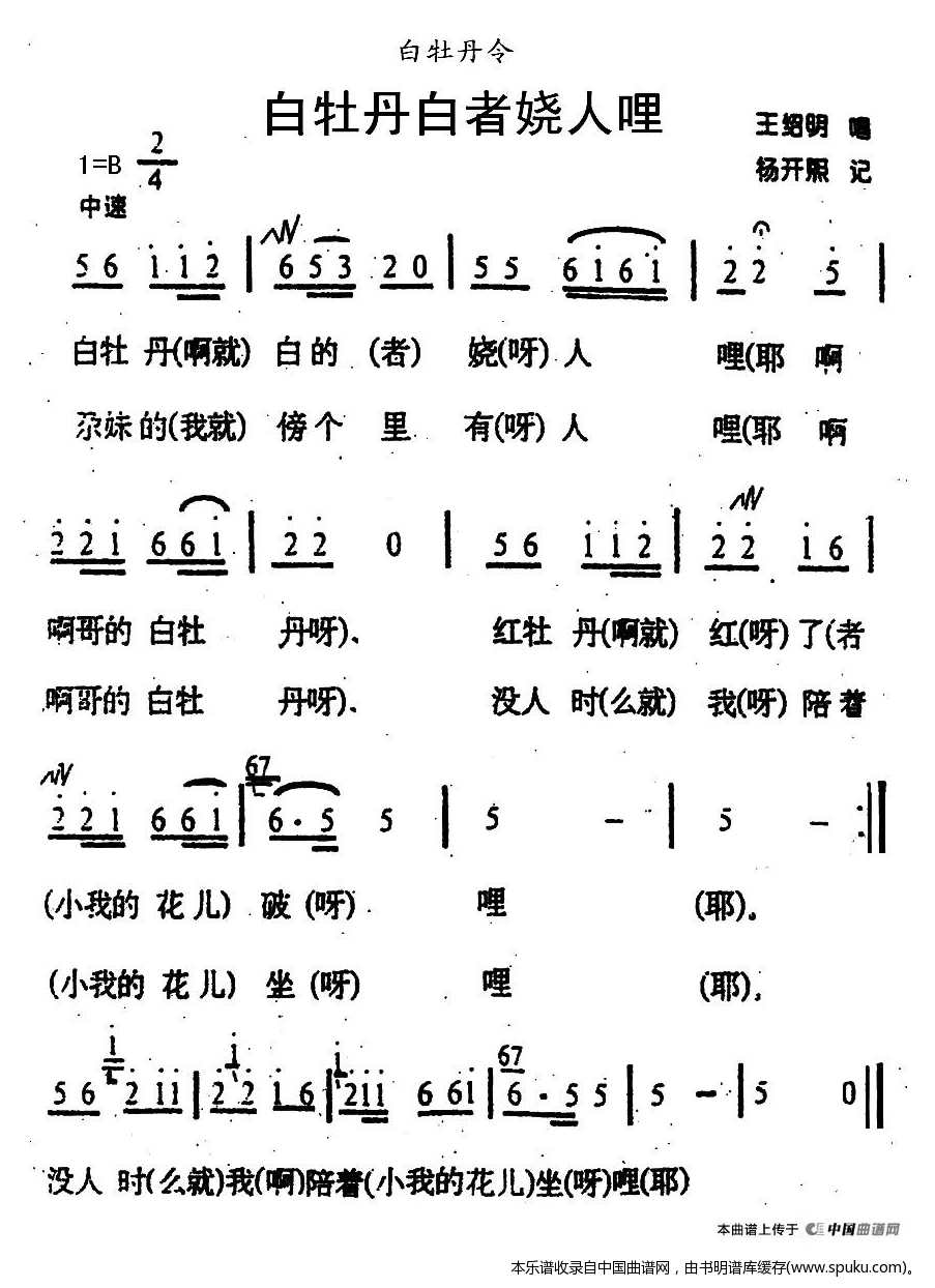白牡丹白者娆人哩（青海花儿·白牡丹令）