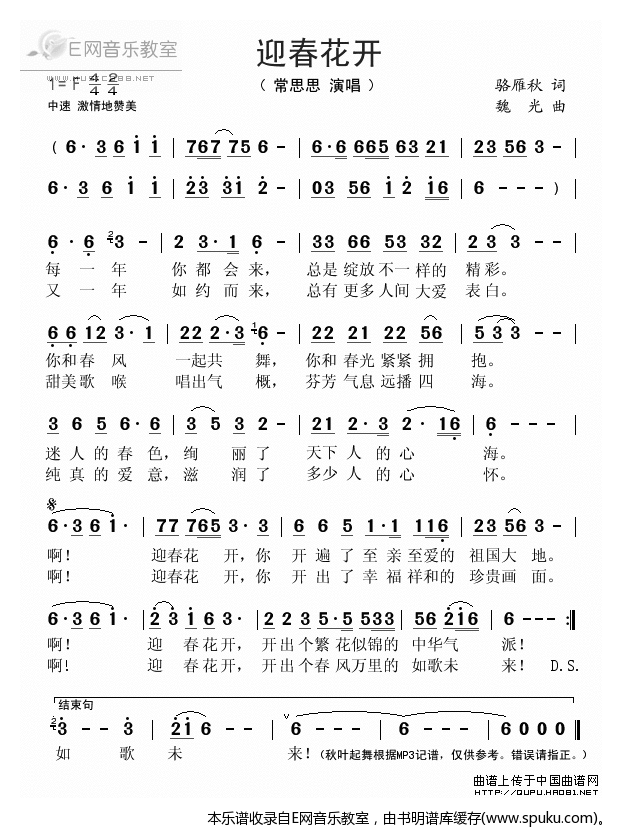 迎春花开-常思思