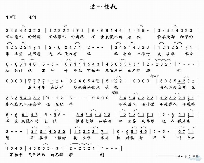 这一棵树