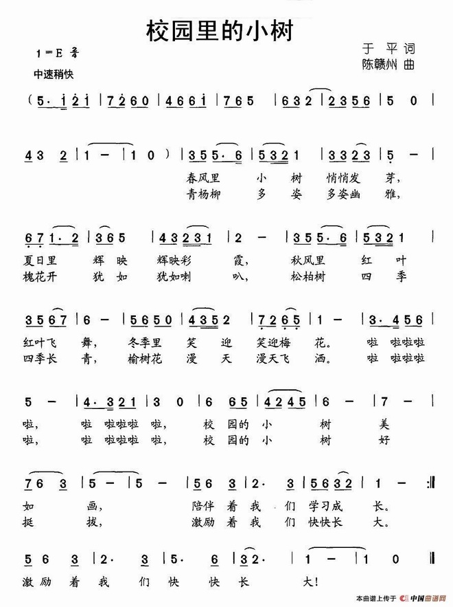 校园里的小树