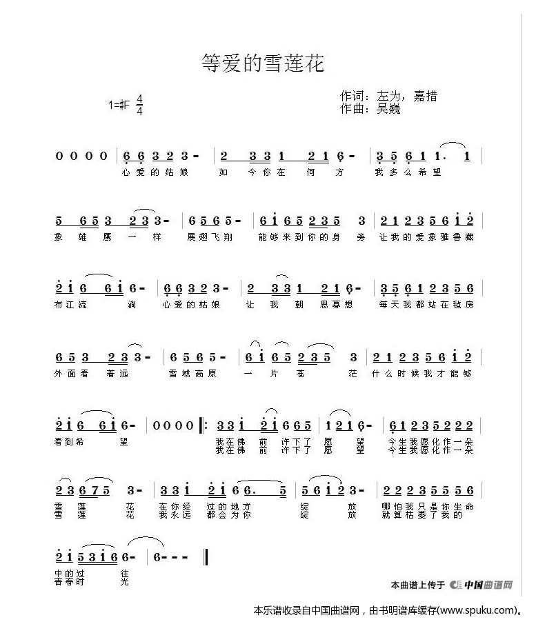 等爱的雪莲花