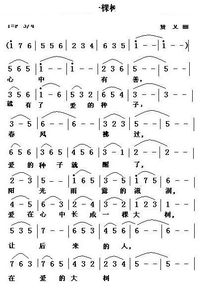 把爱种成一棵树