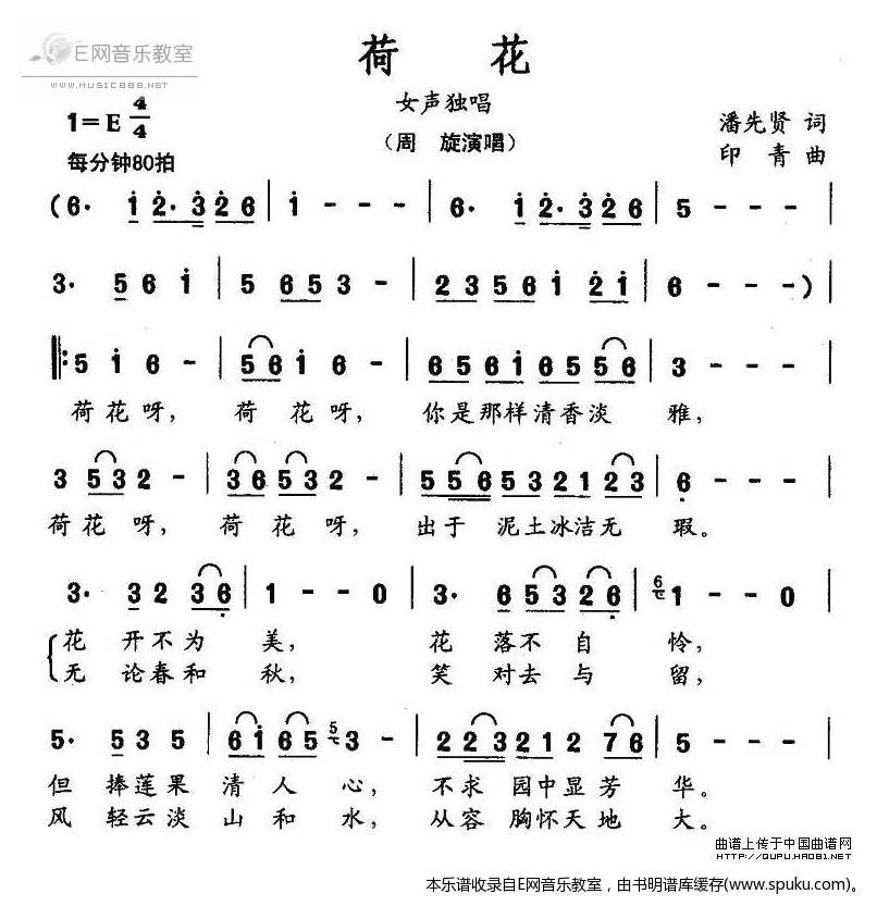 荷花-周旋