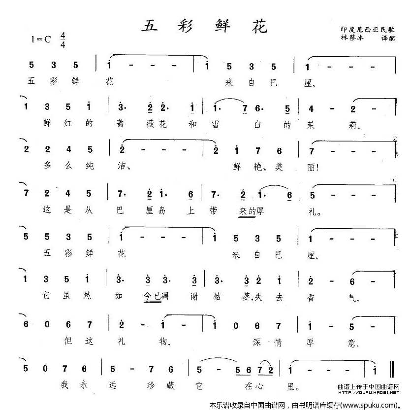 五彩鲜花（印尼）