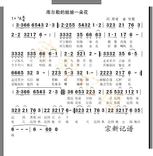 库尔勒的姑娘一朵花