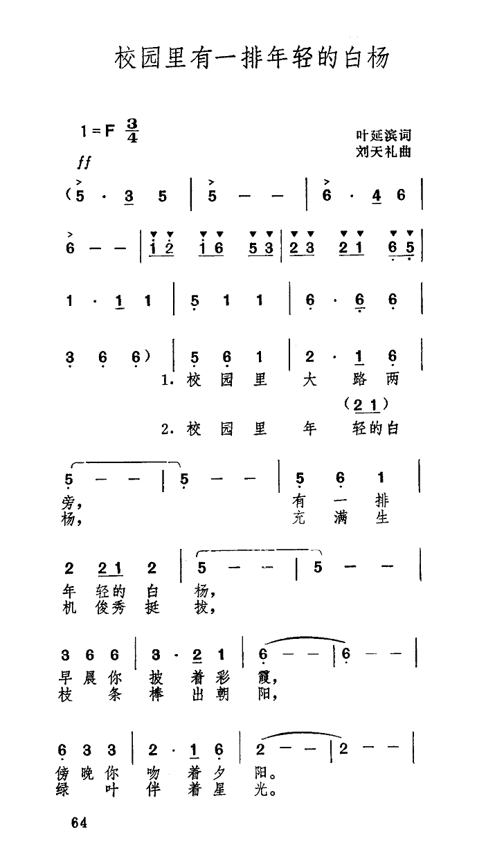 校园里有一排年轻的白杨