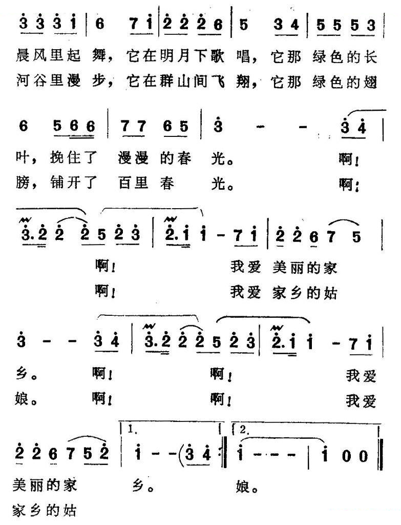 美丽的凤尾竹