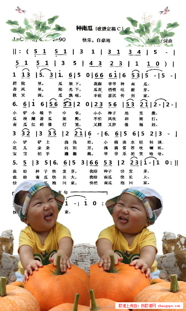 种南瓜