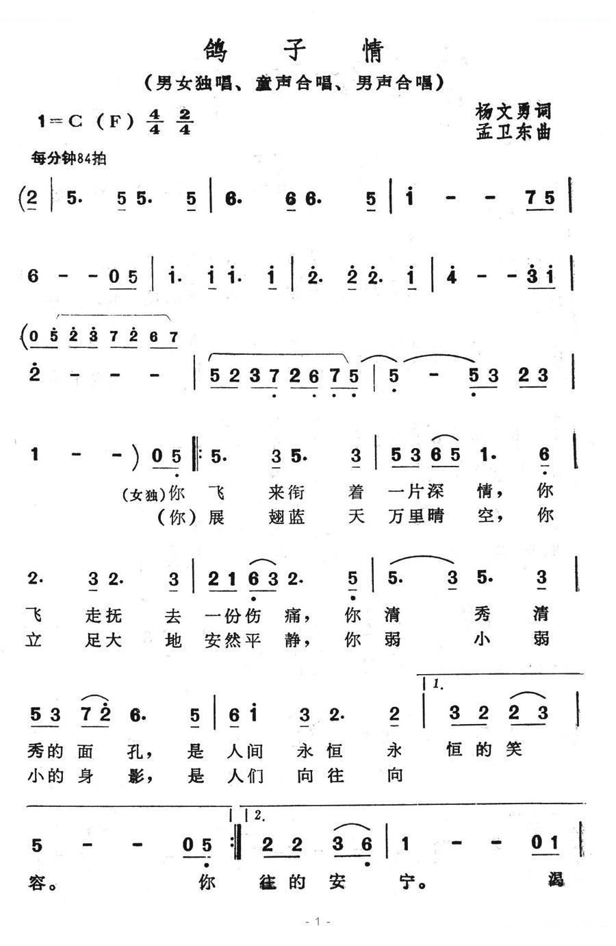 鸽子情