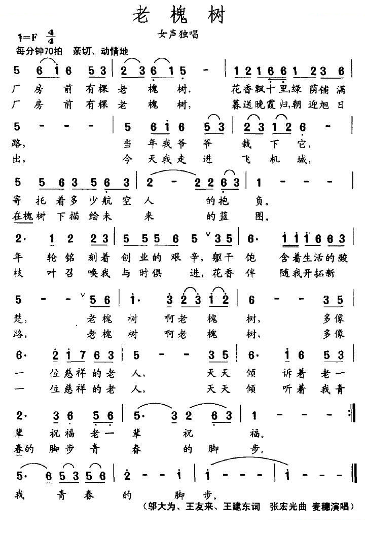 老槐树