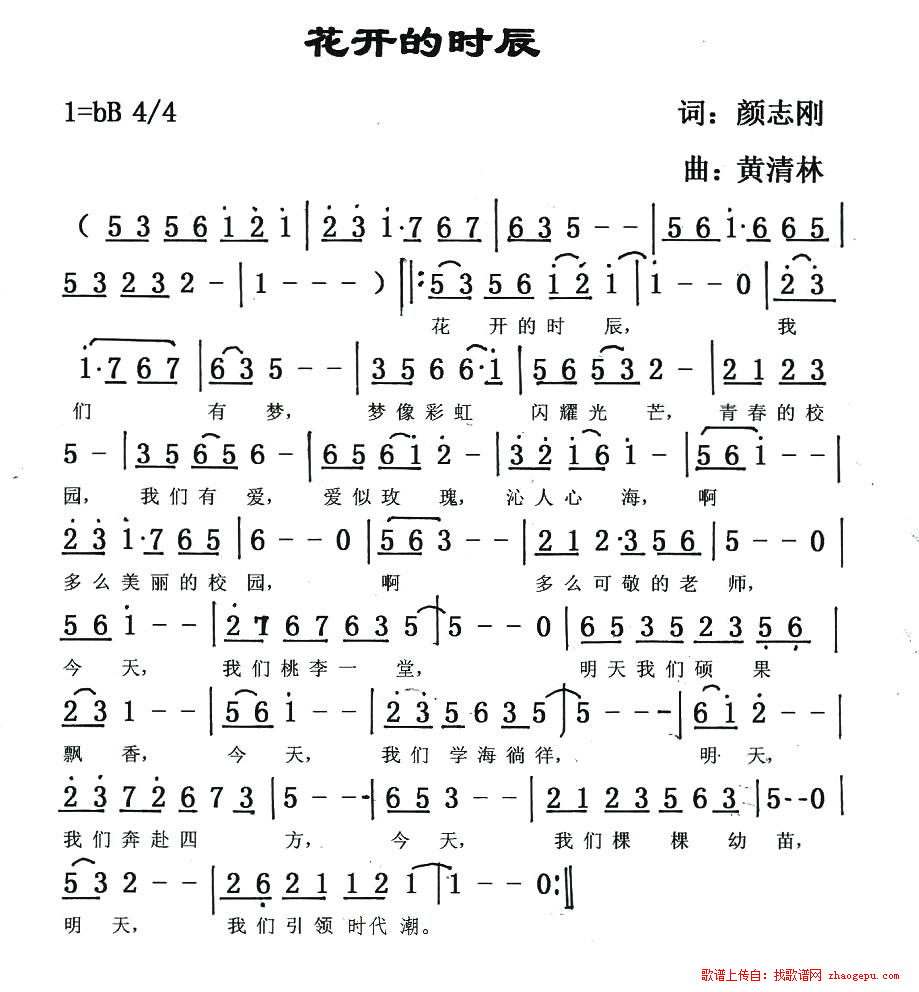花开的时辰