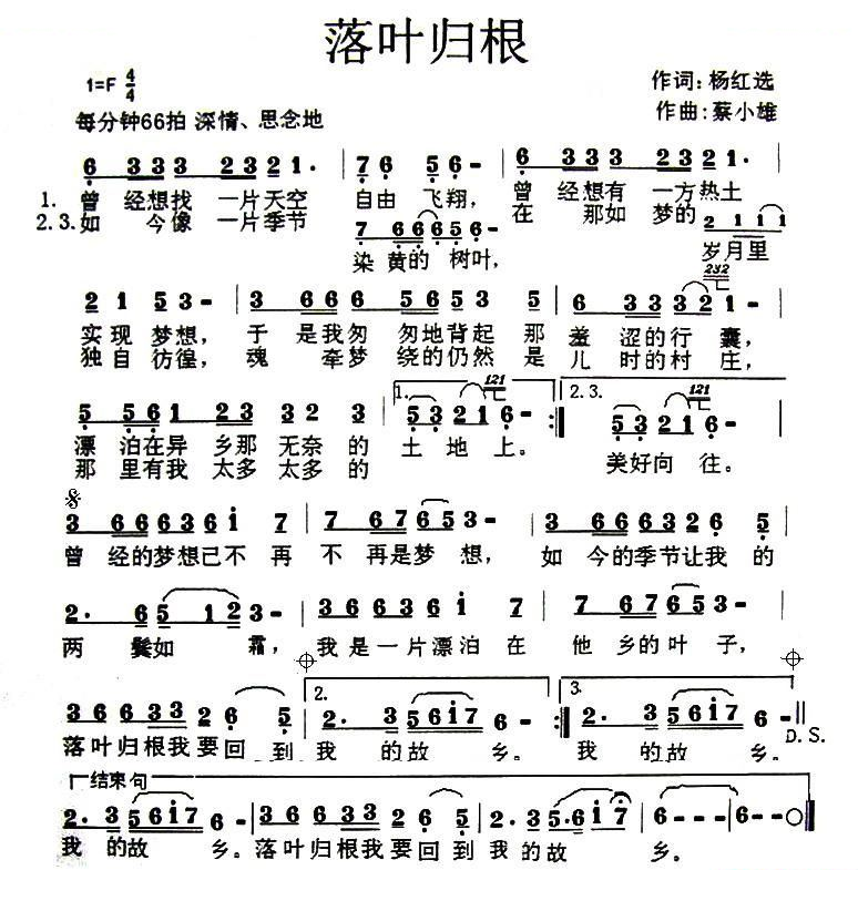 落叶归根 