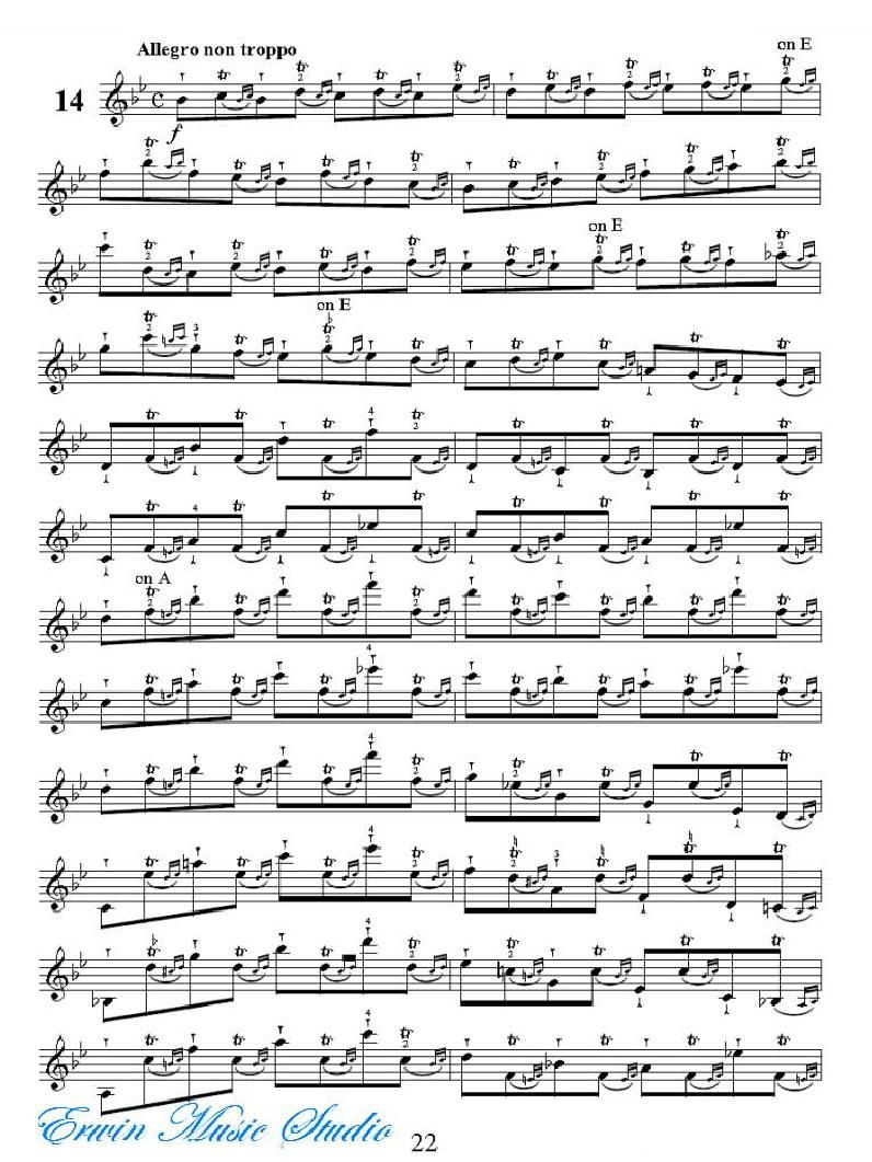 克莱采尔-42首练习曲Rudolphe Kreutzer 42 Studies 13-21 提琴谱