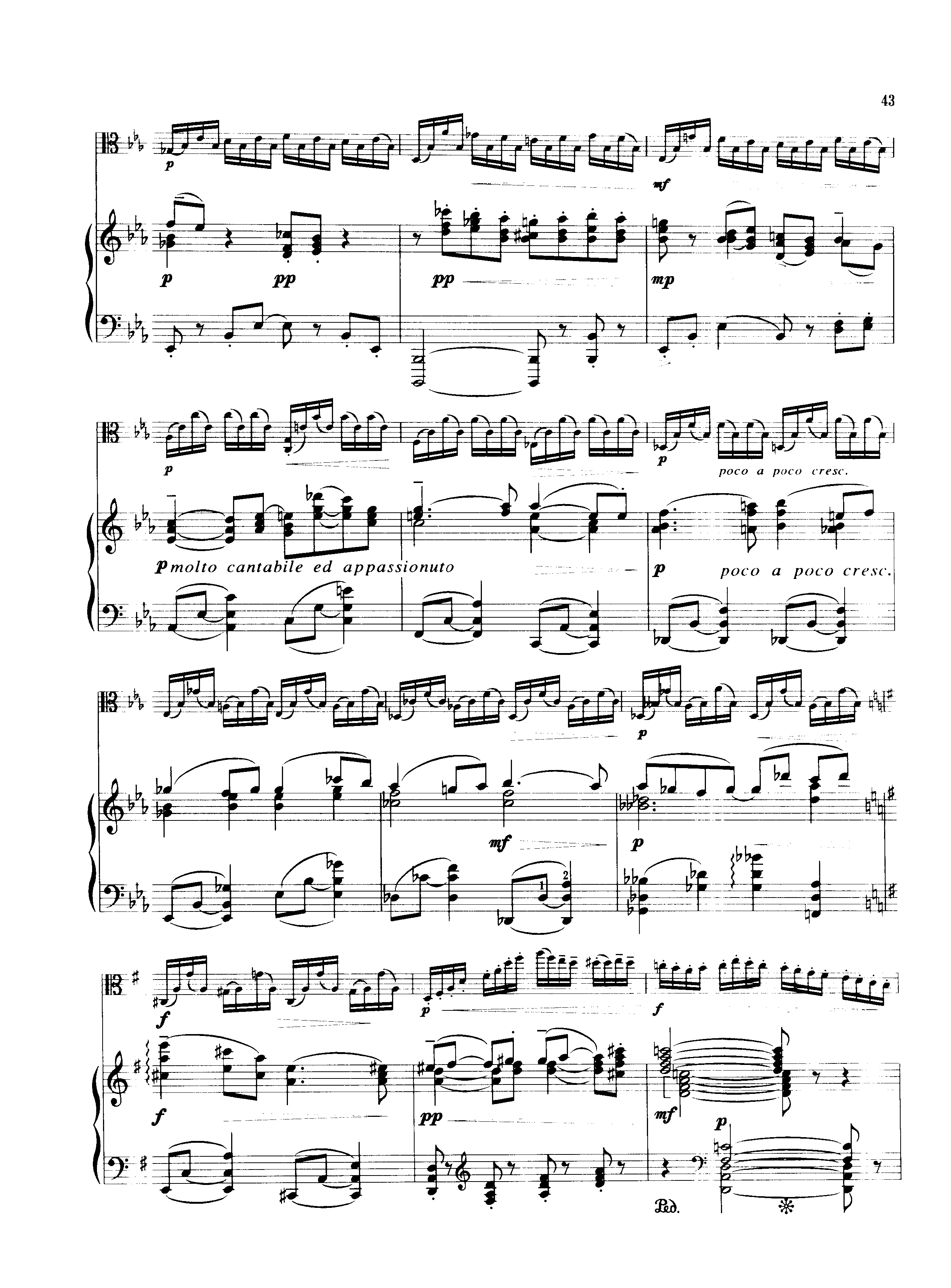 G大调音乐会练习曲 提琴谱